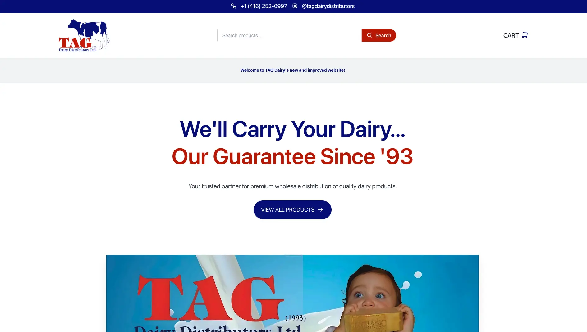 tagdairy.com landing page and e-commerce design